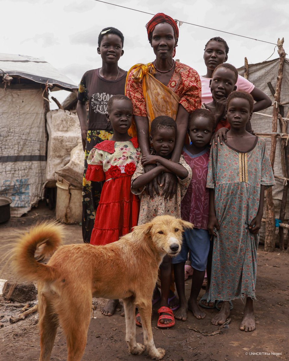 Refugees's tweet image. Like many others, Nyegai and her family lost everything when their village was submerged by flooding in South Sudan.
UNHCR is providing shelter and protection, but the needs are rising fast.
Help us support families like Nyegai’s: bit.ly/3TVICif
