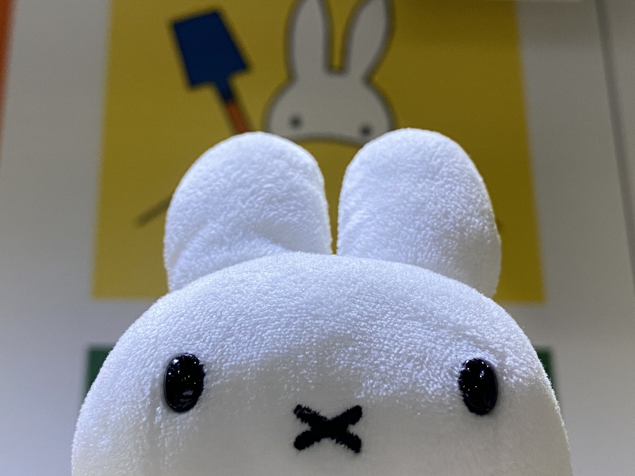 野うさぎ様 hqdefault.jpg