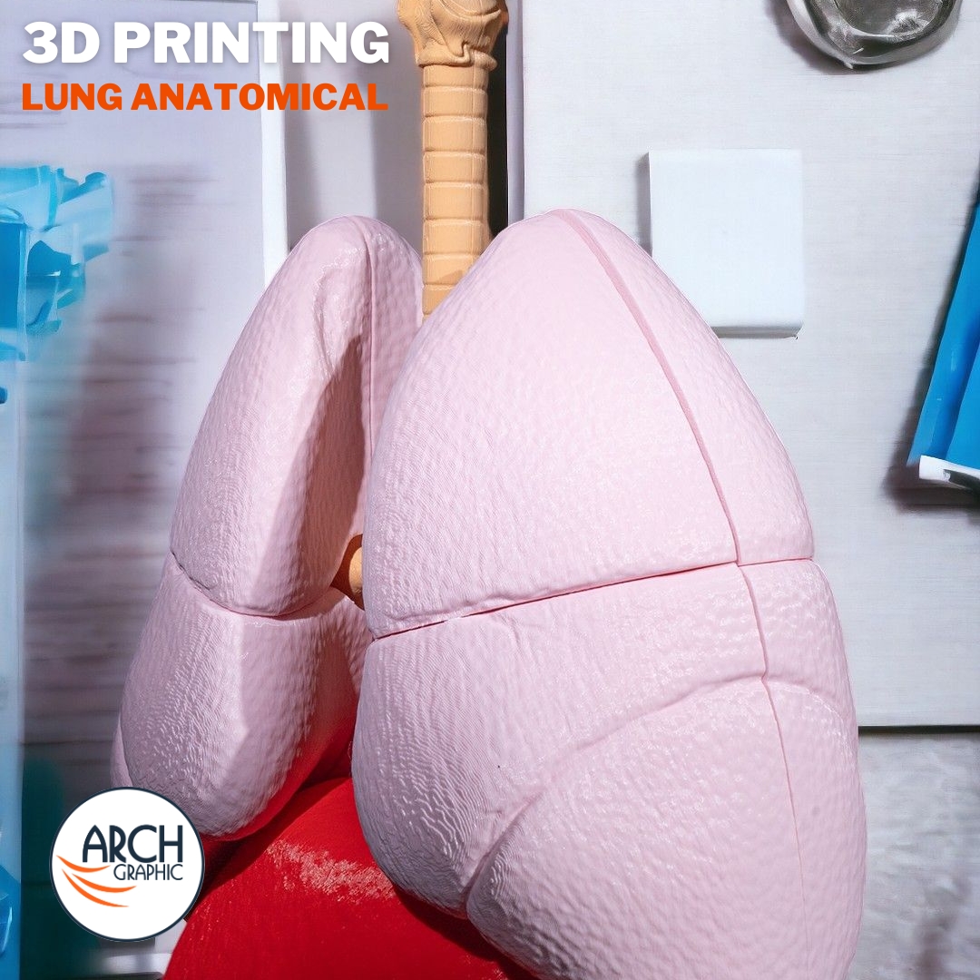 3d_archgraphic's tweet image. 🫁 3D Printed Lung Anatomical Model 🏥
High-detail medical model for education, research, and surgical planning.

arch-graphic.com
#3DPrintingUAE #Medical3DPrinting #LungModel #AnatomicalModels #RespiratoryHealth #Healthcare3DPrinting #MedicalEducationUAE #UAE3DPrint