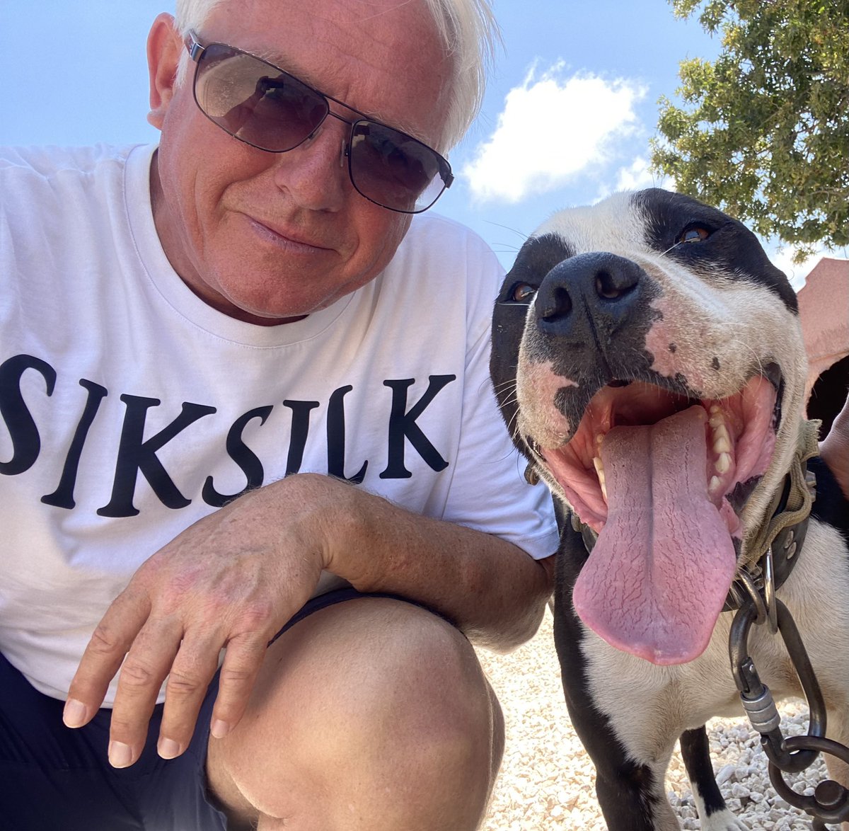 NickTaylorLLB's tweet image. This morning i spent some time with Boyka at Animal Rescue Cyprus . He's looking for a home (details attached) and is a lovely natured Pit Bull. If you're looking to adopt and live near Paphos do check out Animal Rescue Cyprus. #adoptboyka #cyprus
animalrescuecyprus.com