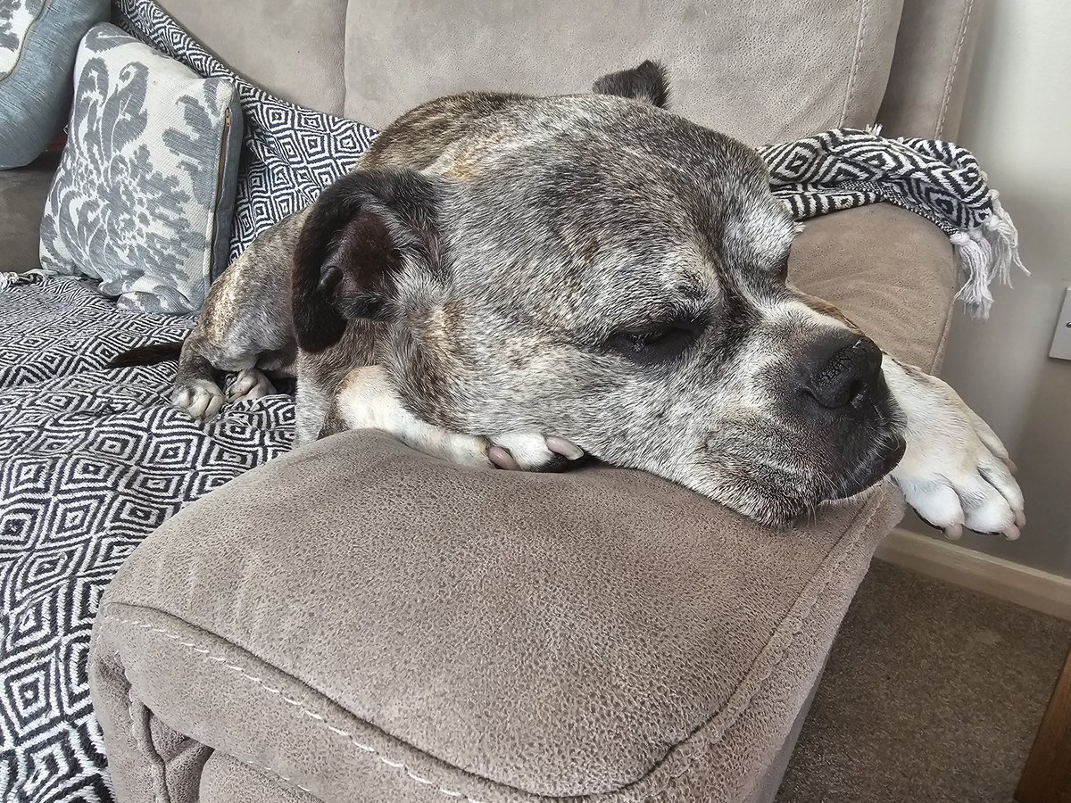 #TourDeCouch from Tavistock. I'm setting myself up for a long day on this stage.
