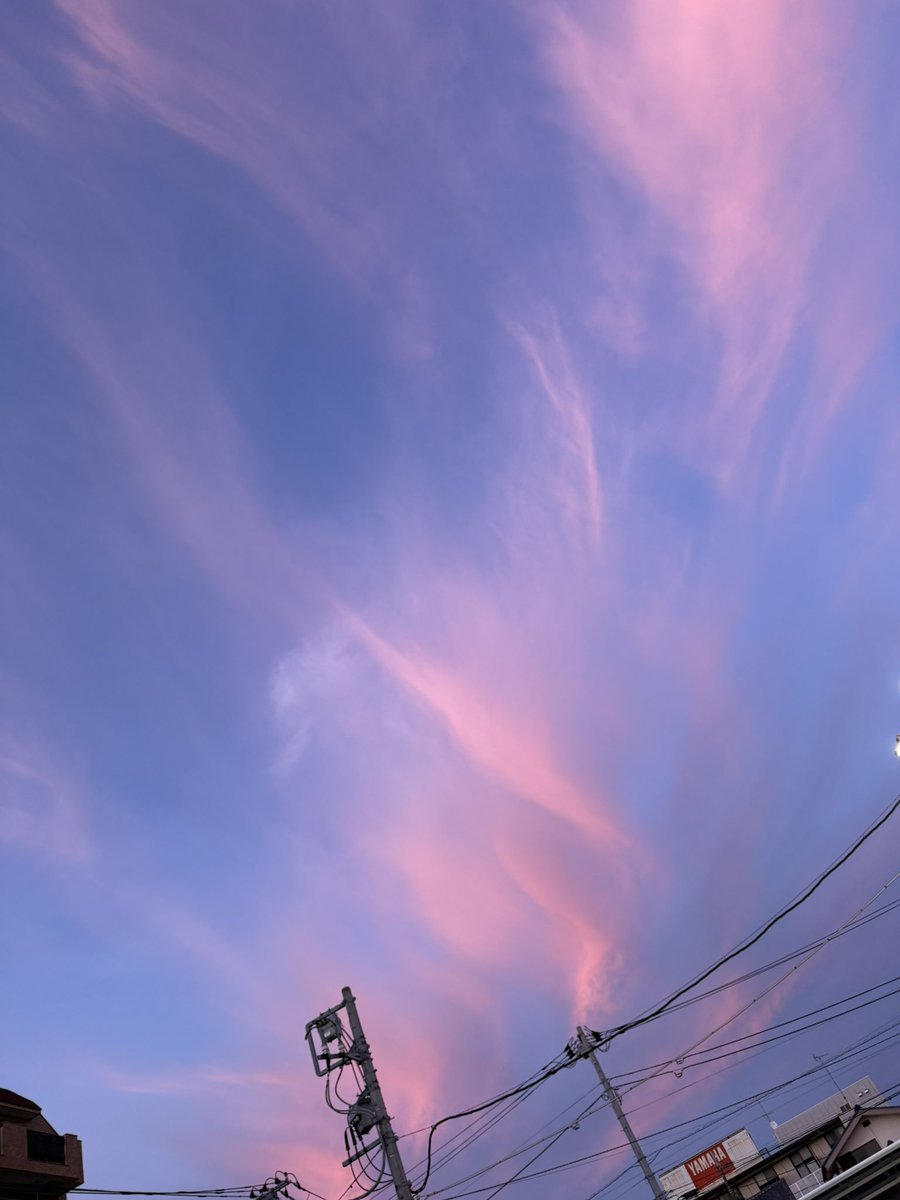 とこ (@tocox) on Twitter photo 