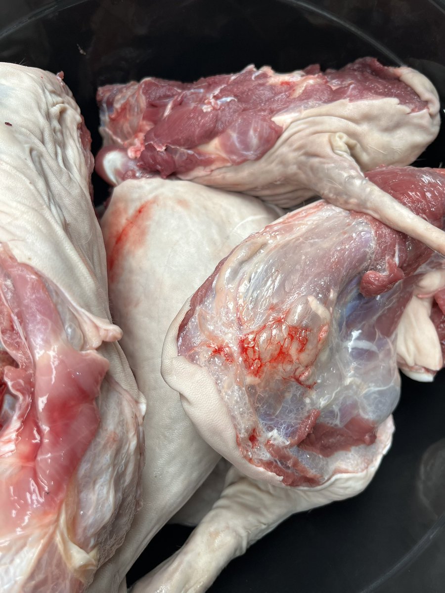 themeatcong's tweet image. Fresh meat lovers, gather here! 🥩
Soft cow leg, juicy goat meat, tender beef cuts all freshly sourced and delivered FAST
📍Lagos
You can order in full or cut portions
Send us a DM to place order or message
wa.me/2348181018114