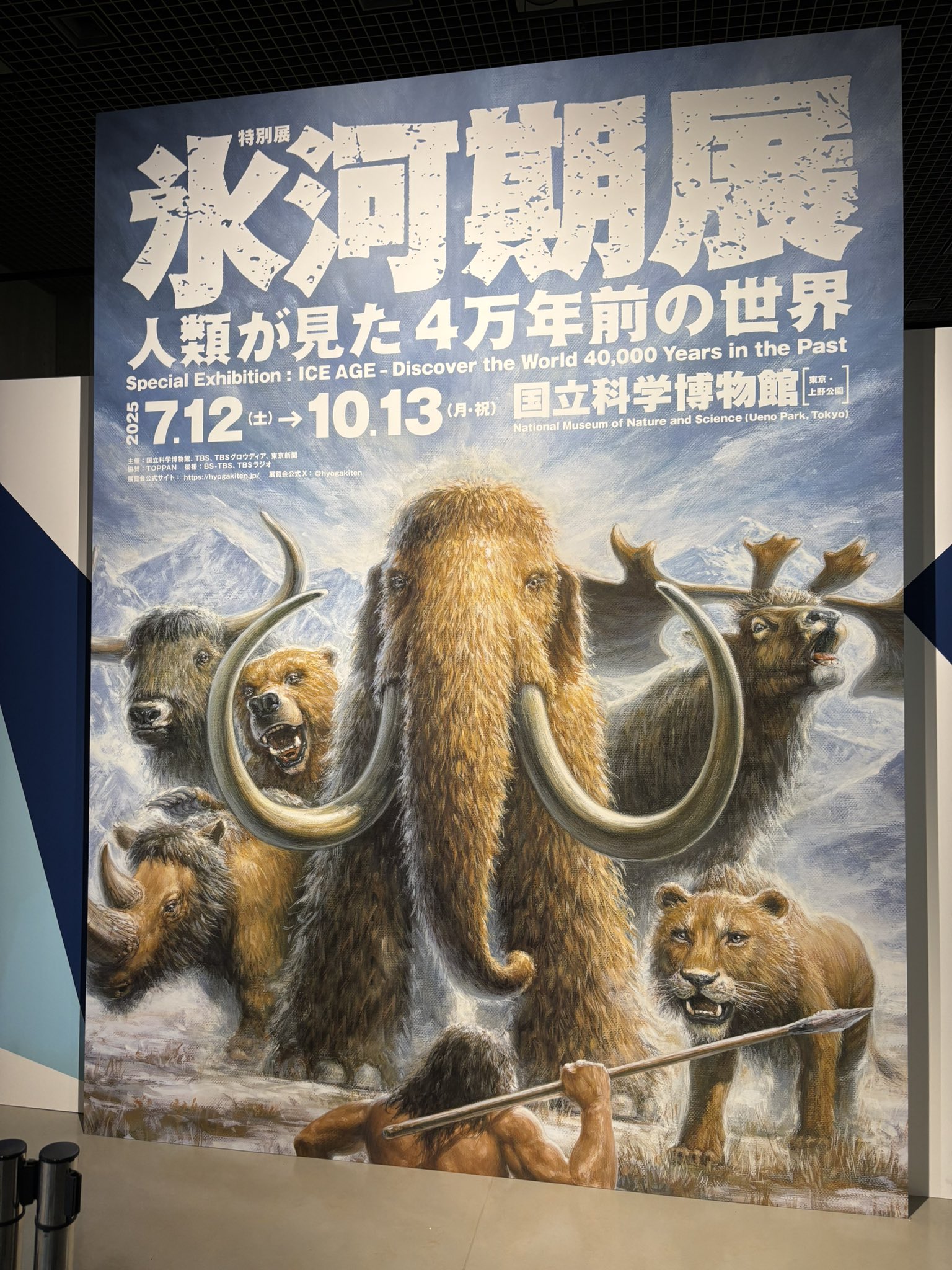 希少　氷河期マンモス標本標本 氷河期展」東京・国立科学博物館で、マンモスなど大型哺乳類の