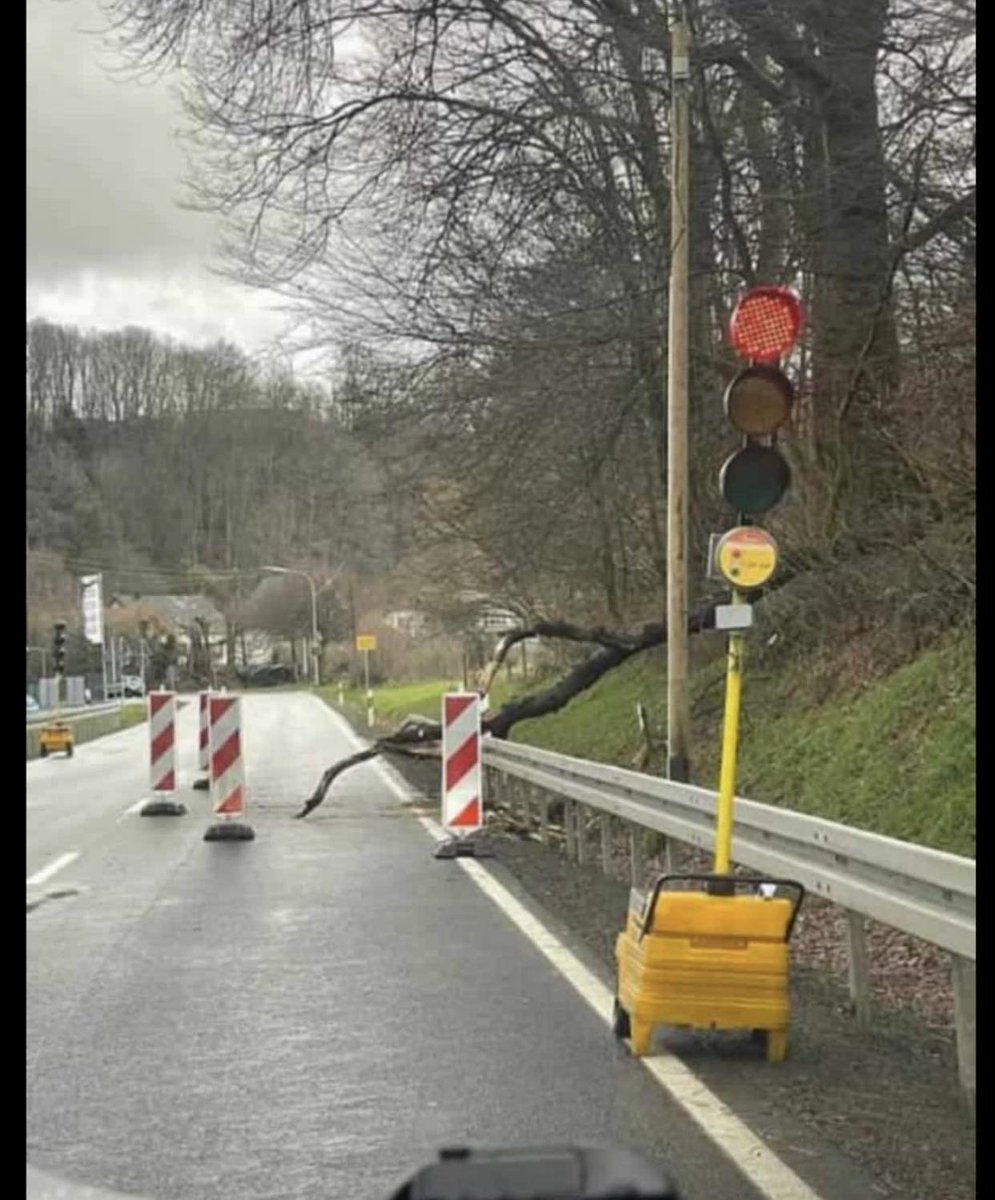 NEIN. Ist NICHT KI. Ist Deutschland.