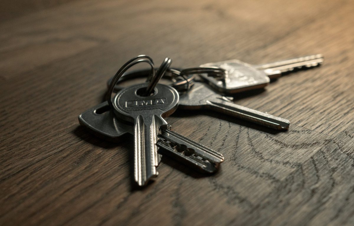 WhoCraved's tweet image. Peter Davison has just found his keys | 🚨
“Thank fuck, now where did I put my phone?”