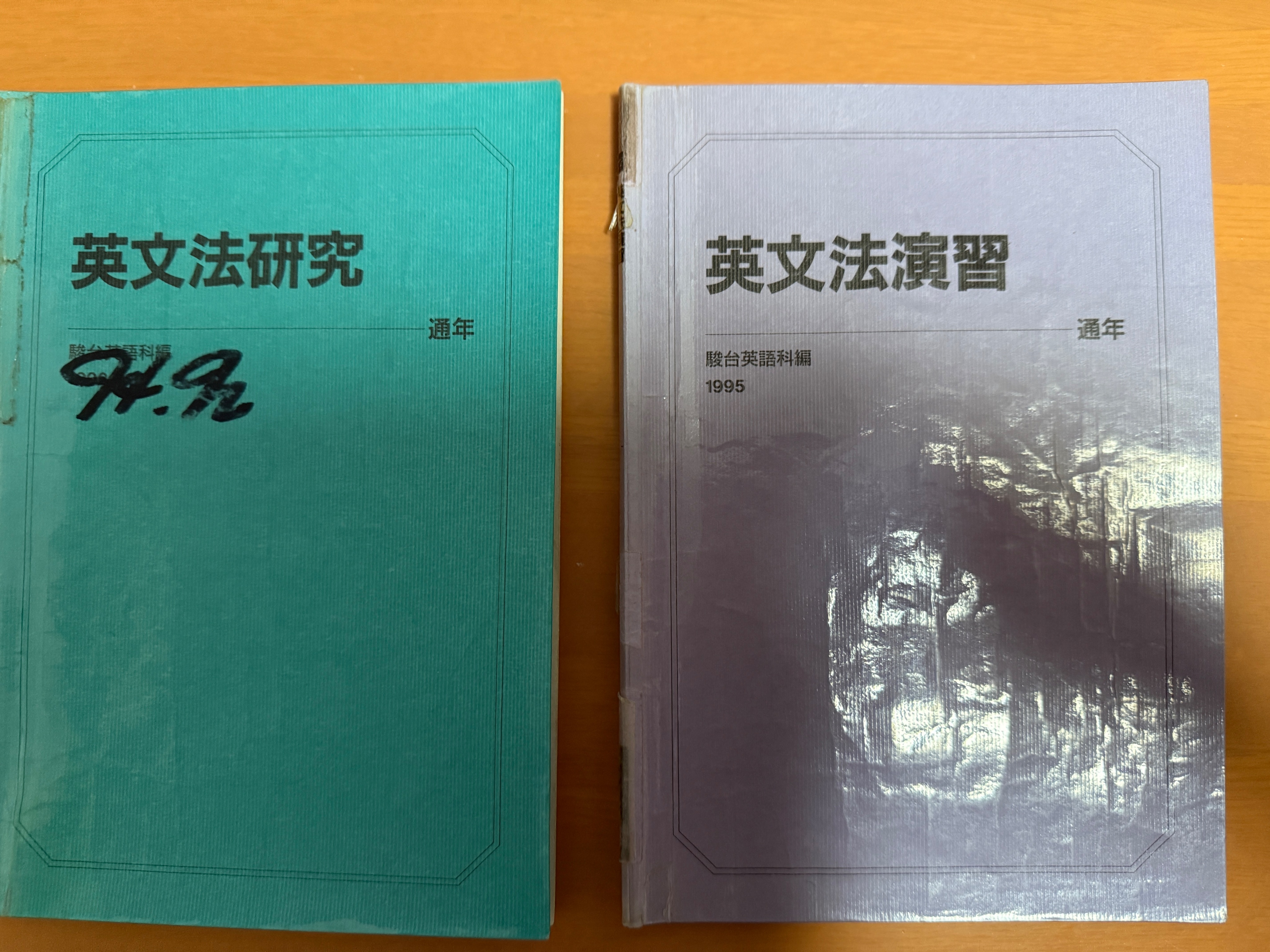 頻出語彙語法の達人 仲本浩喜 英語 代ゼミ 共通テスト 英文法 英単語 駿台 頻出語彙語法の達人 仲本浩喜 英語 代ゼミ 共通テスト 英文法 英