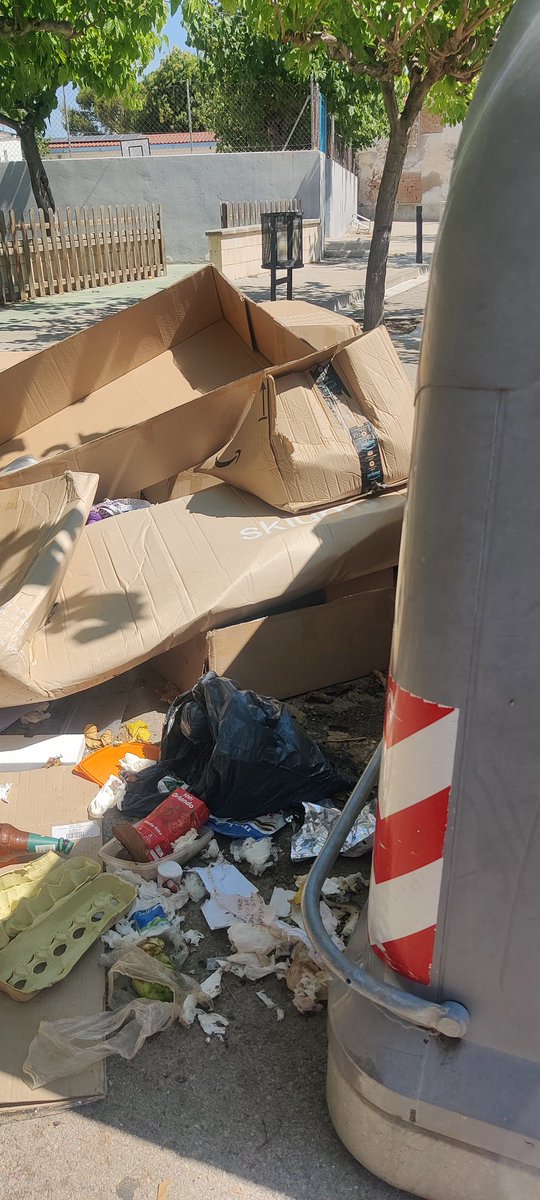 Cinta Estrada tweet media