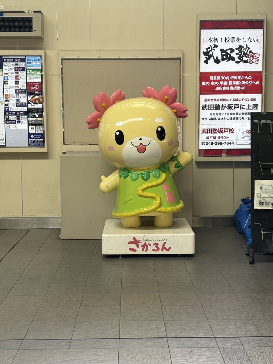 kazz256's tweet image. イメージキャラクターが2つも居る市は珍しだろう😸

←さかろん
→さかっち