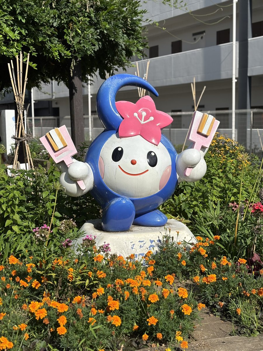 kazz256's tweet image. イメージキャラクターが2つも居る市は珍しだろう😸

←さかろん
→さかっち