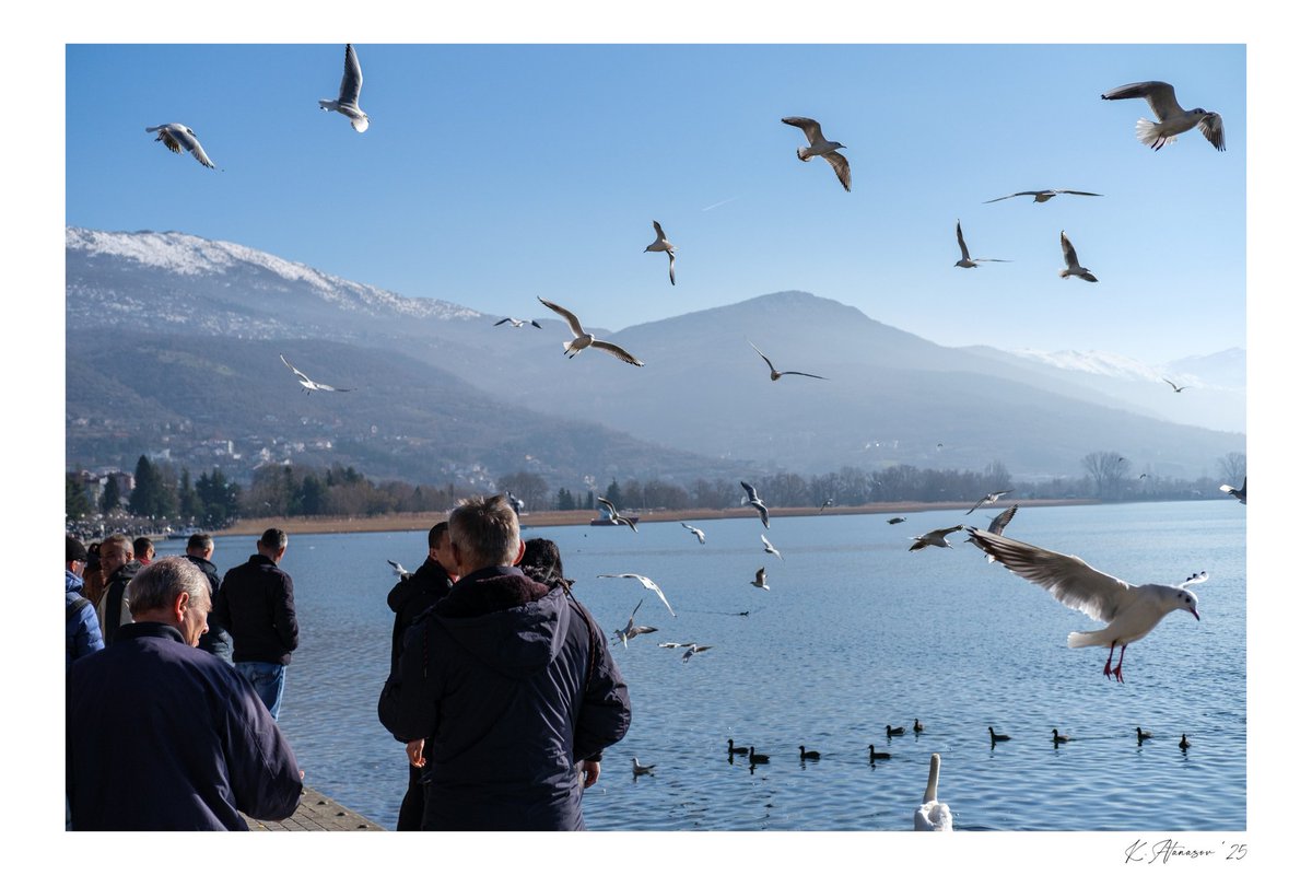 Kostadin Atanasov tweet media