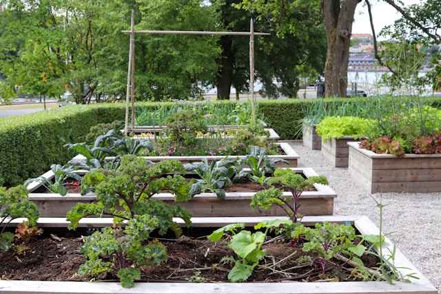 🌿 Tu rêves de faire pousser tes propres légumes mais tu n’as jamais touché une pelle ? 
Voici un guide simple et pratique pour créer ton premier potager.
🥕🌼 À lire ici :tinyurl.com/25oy99ov
#PotagerDébutant #JardinageFacile #Permaculture #ConseilsJardin #conseilpratique