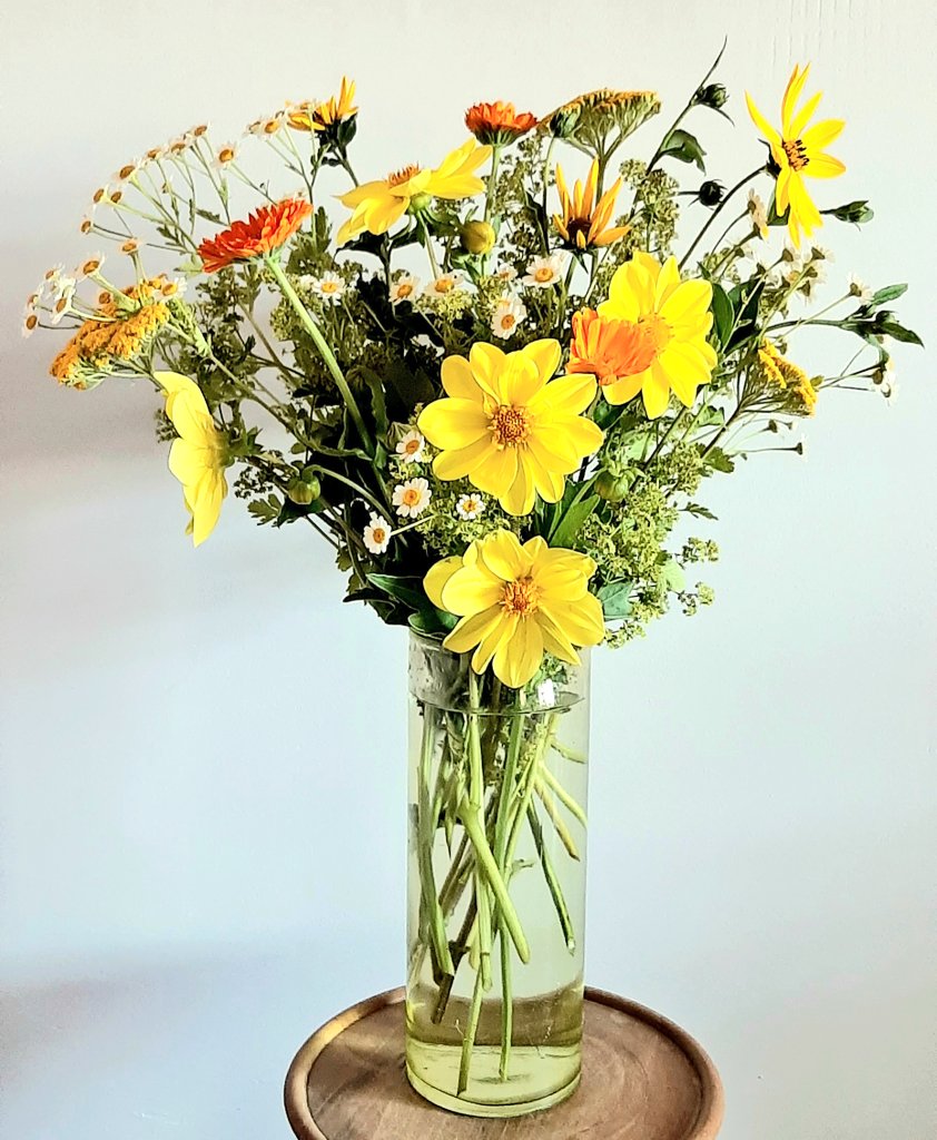 A few home grown bright blooms to cheer up this damp grey Saturday!  It is amazing how flowers can lift our mood and brighten our days! I hope these few citrus shades of summer blooms brightens your day too!

#homegrown #flowers #gardengathered #cutflower #summer #shades