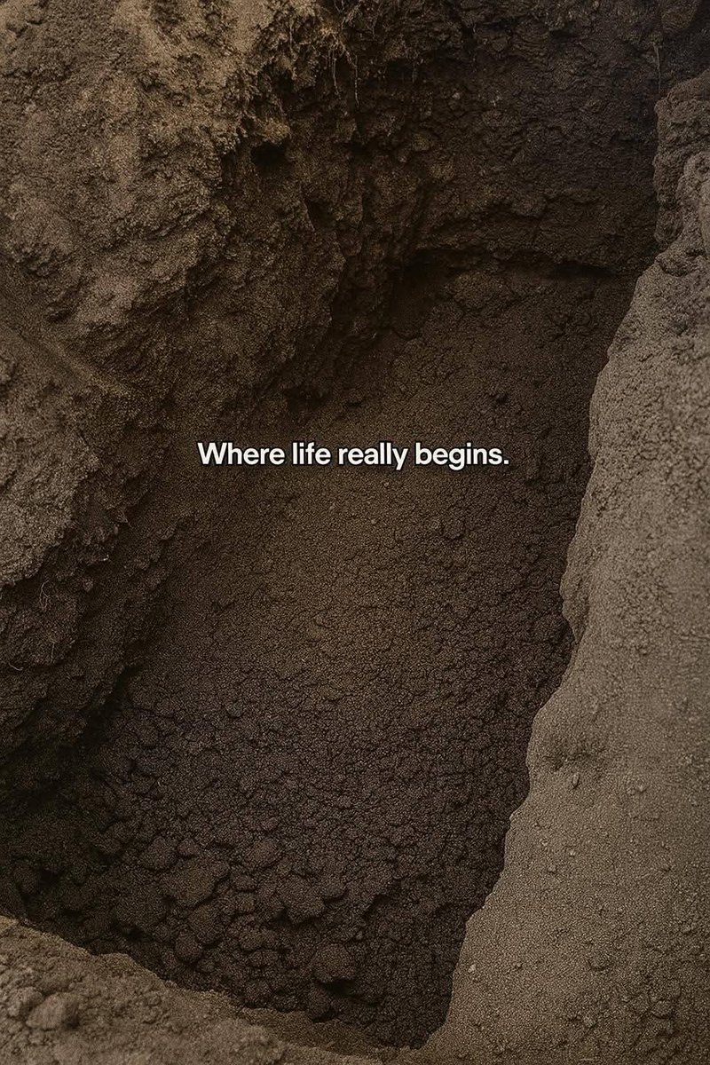Where life really begins.