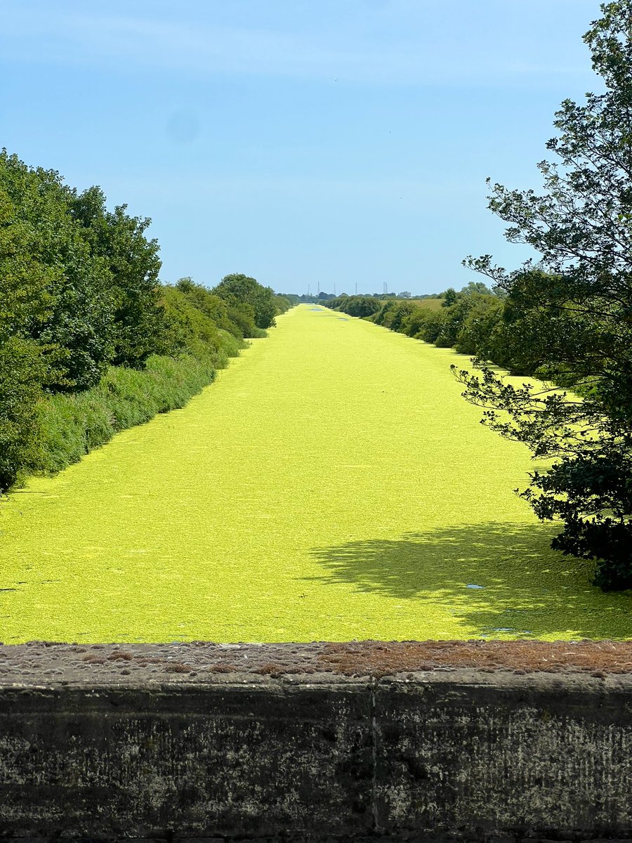 I’m not saying there’s a problem with our waterways and nutrient levels here in the UK, but . . . . 

How about it <a href="/EnvAgency/">Environment Agency</a>?