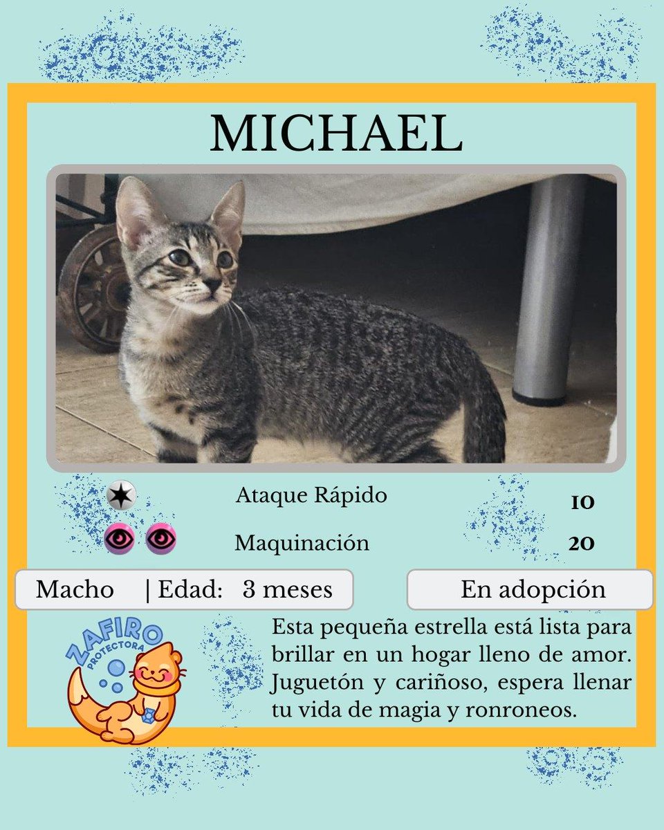 ZafiroProte's tweet image. 🩵 MICHAEL EN ADOPCIÓN 🩵
Este pequeño actor quiere protagonizar la historia más bonita: encontrar una familia para siempre. Fiona dió a luz a esta familia gatuna con nombres de estrellas de cine en un cesto de una terraza 🌟
🐾 Michael
🎂 3 meses
📍 Murcia
✈️ Puede viajar