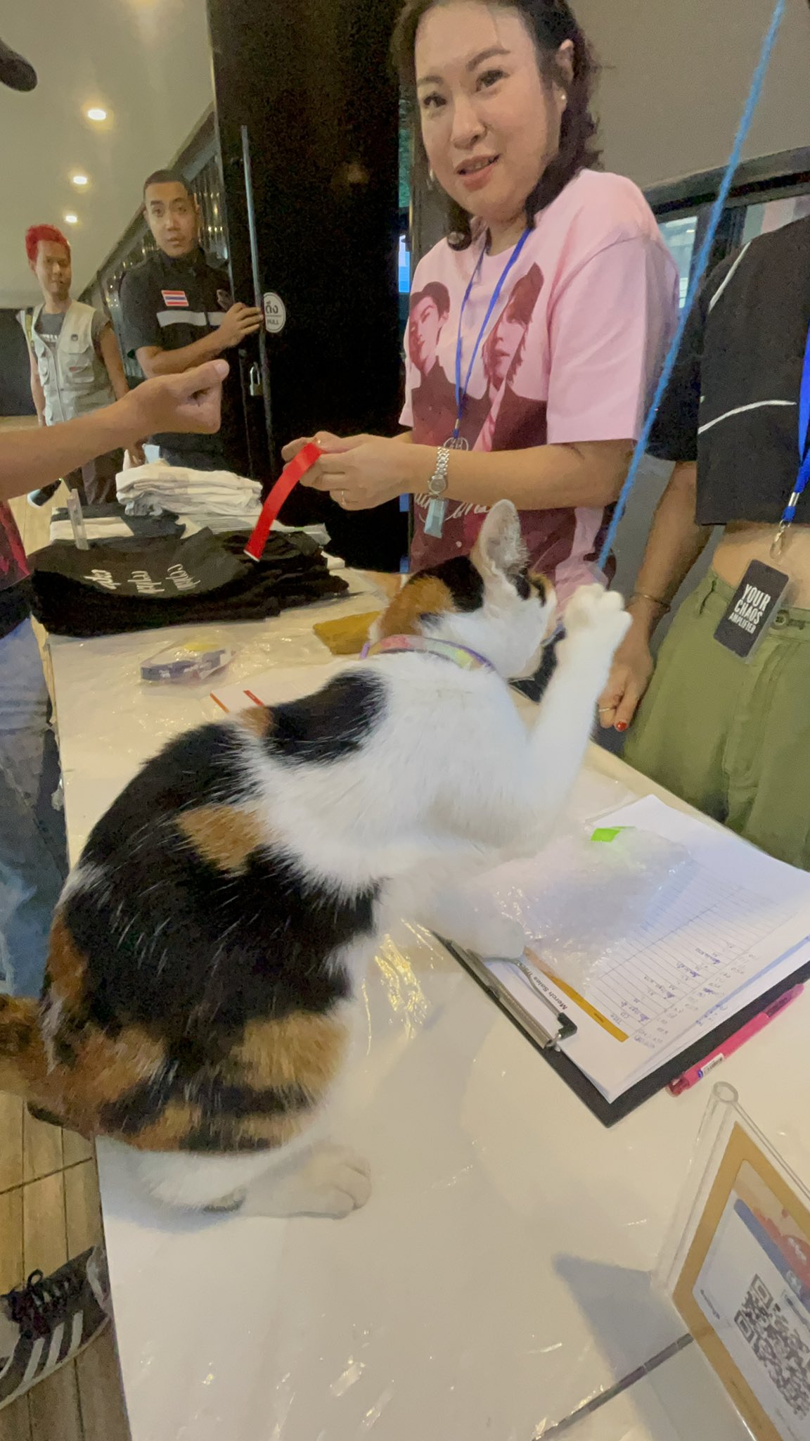 ふんばり猫 LivHeart 抱き枕 ぬいぐるみ 抱きまくら 猫 ねこ ふわふわ ねこ