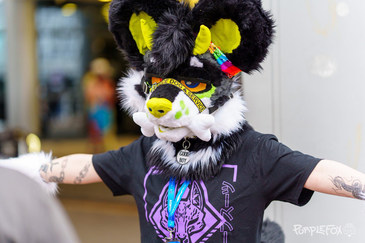 Eepy weekend vibes… 

🌆- <a href="/Scotiacon/">Scotiacon</a> 
📸- <a href="/PurpleFoxCosmo/">Cosmo</a>