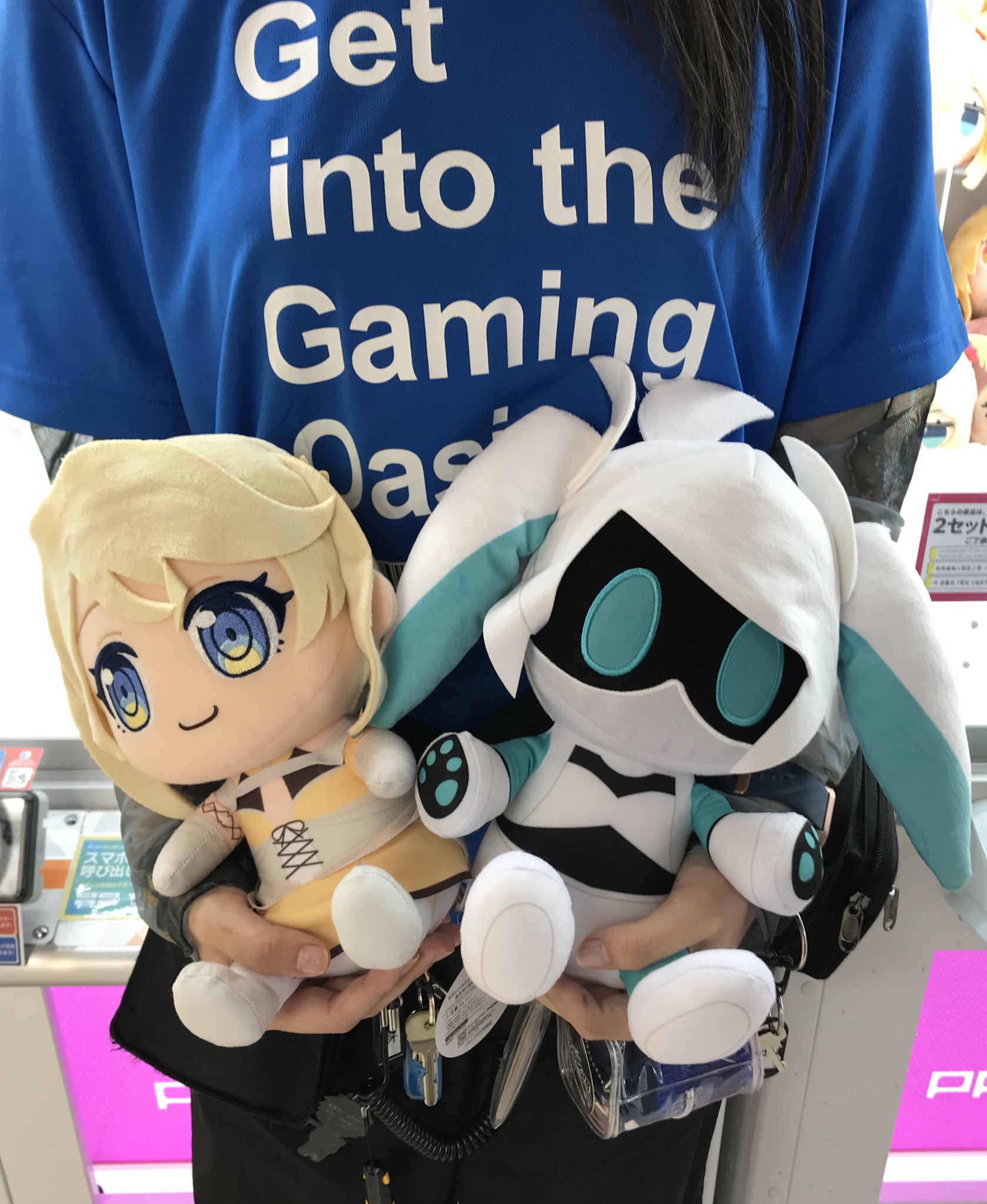 ハイガクラ ピコぬい　gigo限定　10個セット TVアニメ『ハイガクラ』より、ピこぬいがGiGO限定プライズで登場