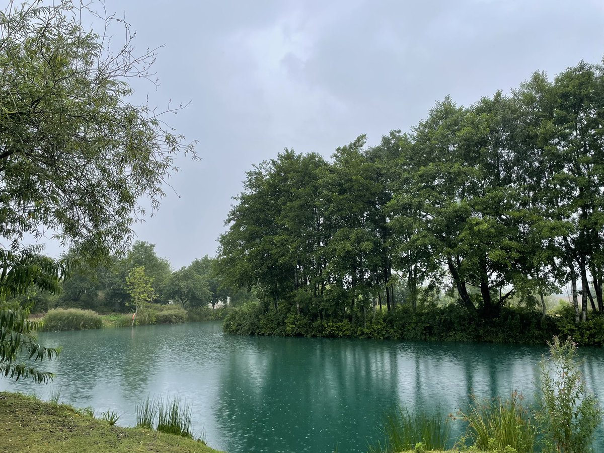 jxbruce's tweet image. Early swim in pouring rain ☔️ refreshing start to weekend! #LavenderHall #openwater