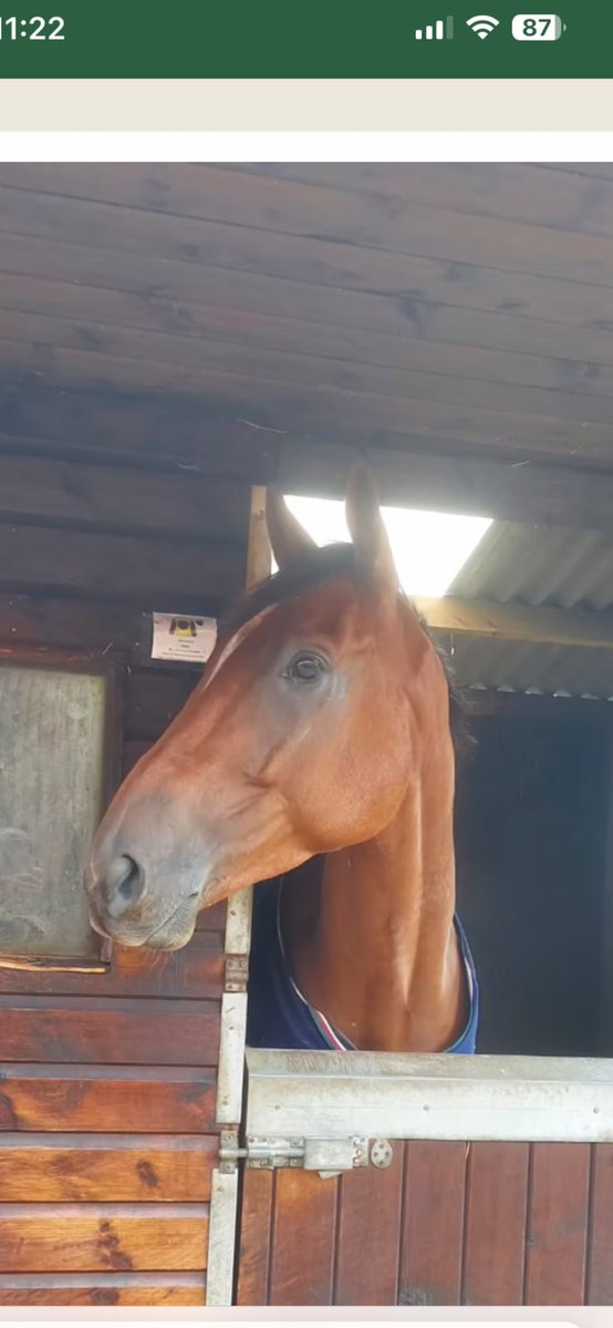 Chris Gordon Racing (@chrisgordonrac1) on Twitter photo Just the one for today Goodwin runs in the 2.40 at Market Rasen for Goodwin Racing Ltd - Rex Dingle rides
<a href="/betgoodwinuk/">BetGoodwin</a>
<a href="/EQFencing/">Equestrian Fencing </a>
<a href="/chrisgordon68/">Chris Gordon</a>
<a href="/Rex_Dingle/">Rex Dingle</a>
<a href="/MarketRasenRace/">Market Rasen Racecourse</a> Just the one for today Goodwin runs in the 2.40 at Market Rasen for Goodwin Racing Ltd - Rex Dingle rides
<a href="/betgoodwinuk/">BetGoodwin</a>
<a href="/EQFencing/">Equestrian Fencing </a>
<a href="/chrisgordon68/">Chris Gordon</a>
<a href="/Rex_Dingle/">Rex Dingle</a>
<a href="/MarketRasenRace/">Market Rasen Racecourse</a>