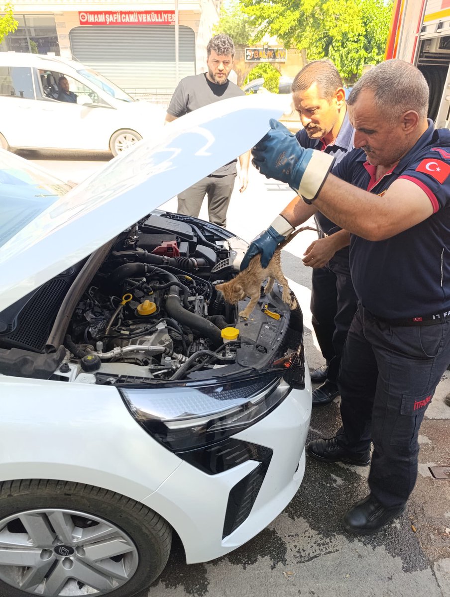mus_bld's tweet image. 🚒 Muş Belediyesi İtfaiye ekipleri, araç motorunda mahsur kalan bir yavru kediyi başarılı bir operasyonla kurtardı. Yurttaşlarımızın ihbarı üzerine olay yerine intikal eden ekiplerimiz, motor kısmında sıkışan minik can dostumuzu zarar görmeden güvenli bir şekilde dışarı çıkardı.
