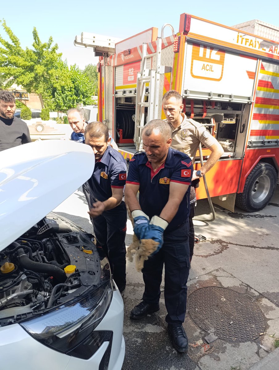 mus_bld's tweet image. 🚒 Muş Belediyesi İtfaiye ekipleri, araç motorunda mahsur kalan bir yavru kediyi başarılı bir operasyonla kurtardı. Yurttaşlarımızın ihbarı üzerine olay yerine intikal eden ekiplerimiz, motor kısmında sıkışan minik can dostumuzu zarar görmeden güvenli bir şekilde dışarı çıkardı.