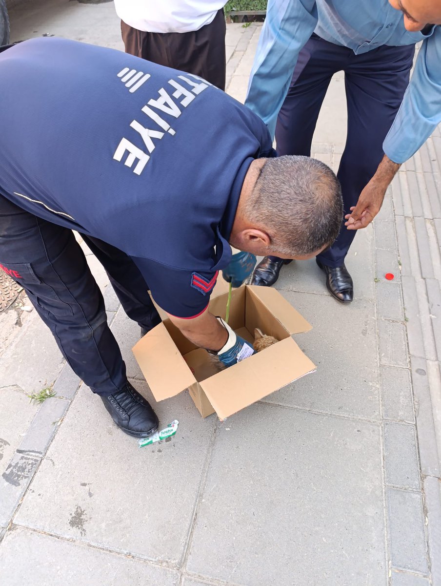 mus_bld's tweet image. 🚒 Muş Belediyesi İtfaiye ekipleri, araç motorunda mahsur kalan bir yavru kediyi başarılı bir operasyonla kurtardı. Yurttaşlarımızın ihbarı üzerine olay yerine intikal eden ekiplerimiz, motor kısmında sıkışan minik can dostumuzu zarar görmeden güvenli bir şekilde dışarı çıkardı.