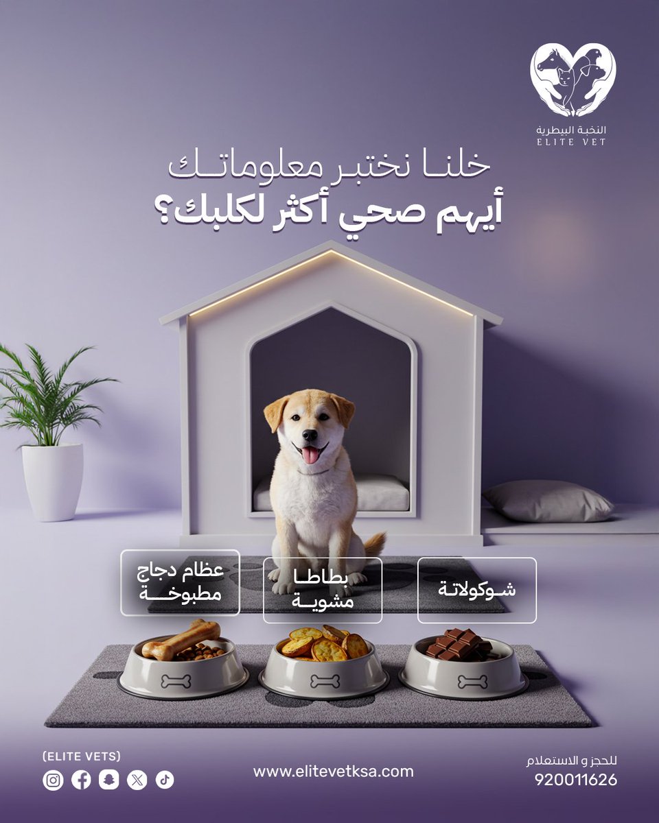EliteVetKsa's tweet photo. أيهم صحي أكثر لكلبك؟ خلنا نختبر معلوماتك وجاوبنا في التعليقات!

#النخبة_البيطرية

Which food is healthiest for your dog? Let’s test your knowledge! Answer in the comments below.

#Elite_Veterinary https://t.co/4eow67Wp02