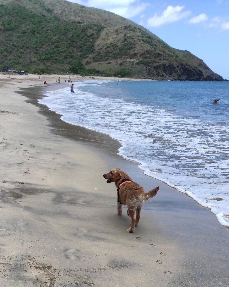 alexcochense's tweet image. Feliz sábado.
Bendiciones para este fin de semana.
Playa Zaragoza .
Isla de #margarita #venezuela