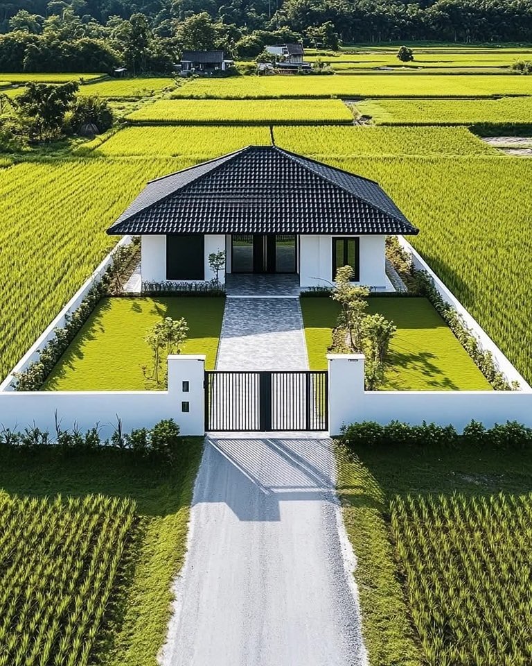 Some therapeutic views