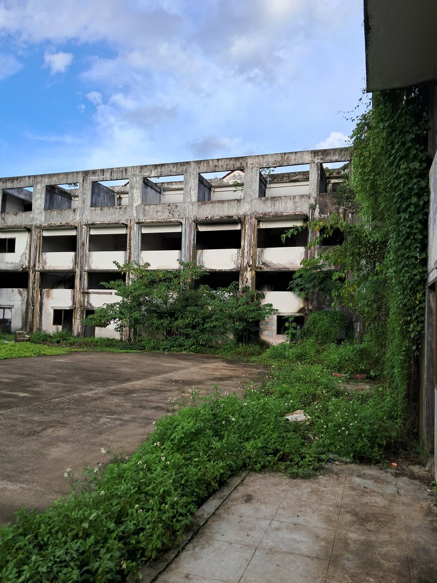 gray_shadoww's tweet image. เงี่ยน