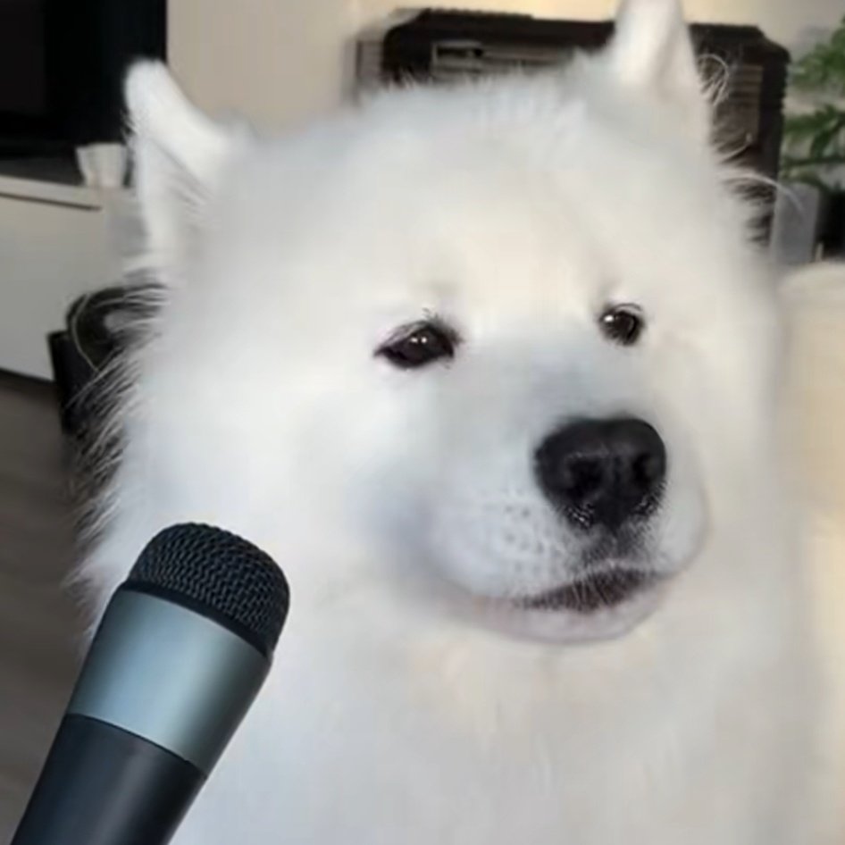phu_as_samoyed's tweet image. 🎤
#PHUTATCHAI
