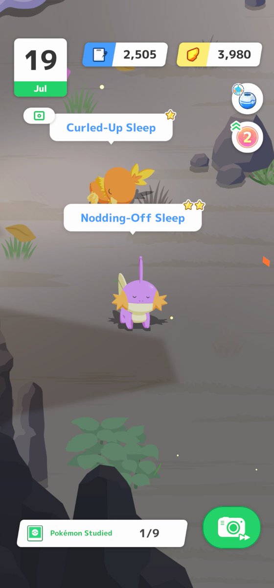 thekrusche's tweet image. Shiny Mudkip ✨️ #PokemonSleep2nd