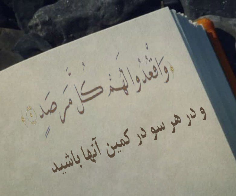 Ghurarolhikam's tweet image. امیرالمؤمنین علیهالسلام فرمود:
در جنگ، هوشیار باش؛
در زمان و مکان مناسب ضربه بزن؛
پیروزی با توست...!
غررالحکم(فصل۲)، حدیث ۱۲۳