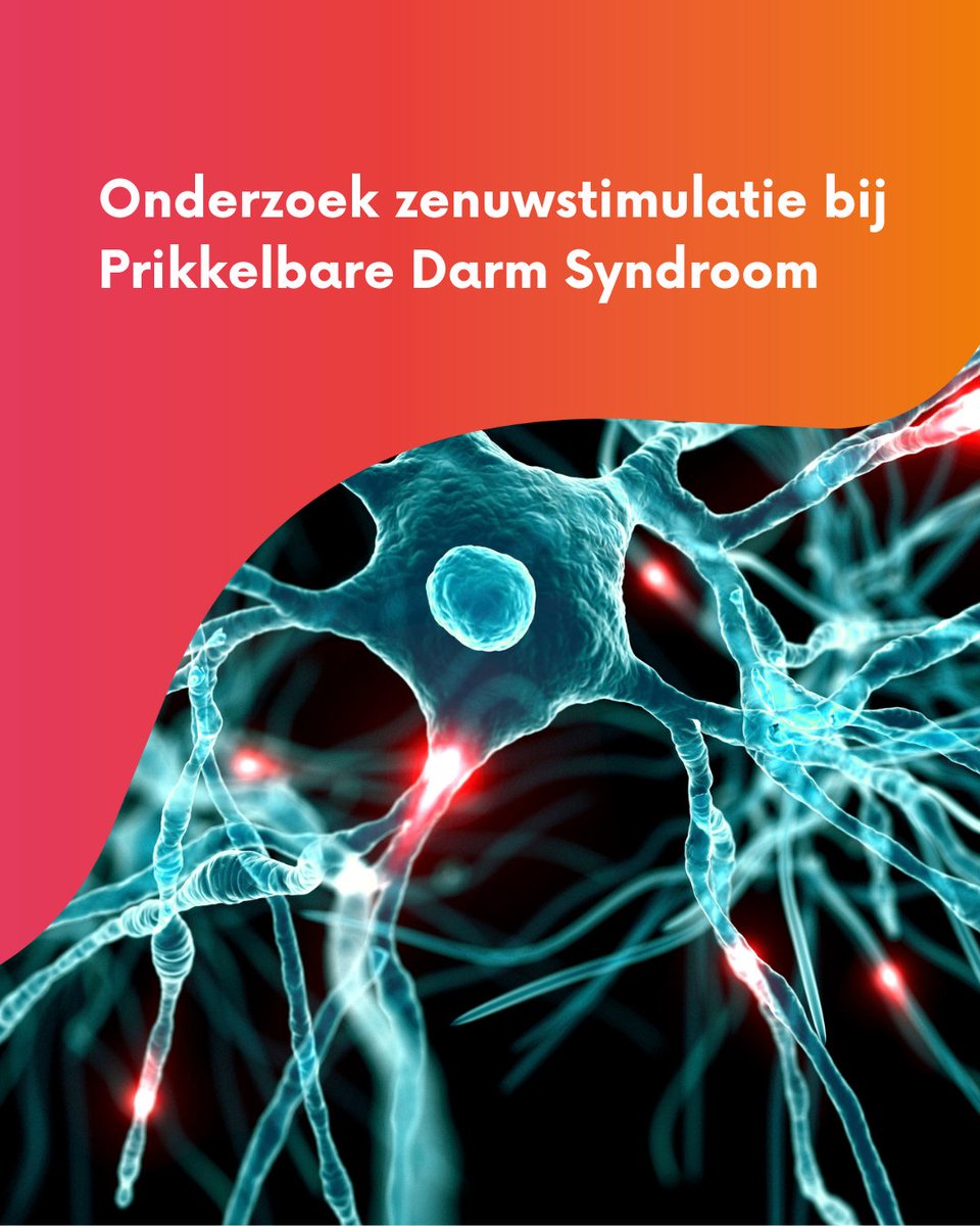 PDS Belangenorganisatie (@pdsb) on Twitter photo De afdeling MDL van <a href="/Unimaas/">UniversityMaastricht</a> zoekt mensen met Prikkelbare Darm Syndroom voor onderzoek naar het effect van zenuwstimulatie 👂 op PDS-klachten.
🔗 Meer info en aanmelden: pdsb.nl/oproep-pds-pat…
#PrikkelbareDarmSyndroom #PDS #onderzoek #zenuwstimulatie #resilience #Maastricht De afdeling MDL van <a href="/Unimaas/">UniversityMaastricht</a> zoekt mensen met Prikkelbare Darm Syndroom voor onderzoek naar het effect van zenuwstimulatie 👂 op PDS-klachten.
🔗 Meer info en aanmelden: pdsb.nl/oproep-pds-pat…
#PrikkelbareDarmSyndroom #PDS #onderzoek #zenuwstimulatie #resilience #Maastricht