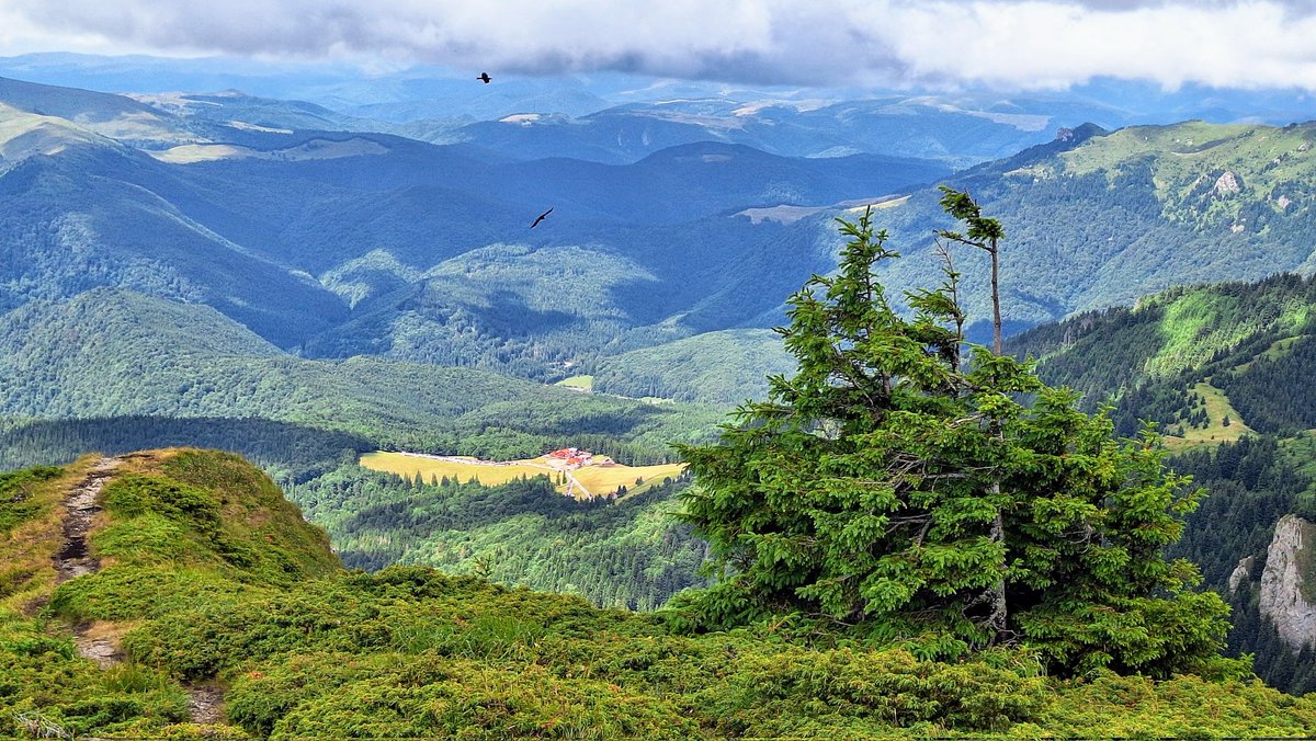 Muntele Roșu, Gropșoarele (Ciucaș)