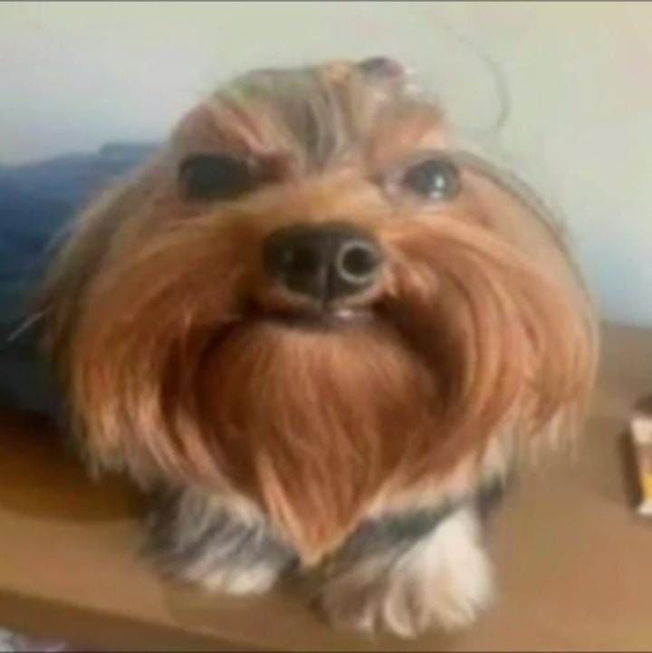 Mano, se isso aqui ganha muito engajamento eu vou dar muita risada kkkkkkkkkkkkkkkkk