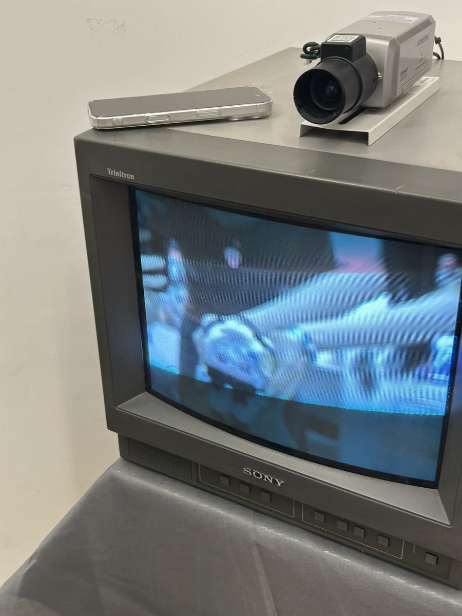 #고고한_스포트라이트를_받으며
#폭발하는_회색늑대의_락스피릿

카페 너무 예뻣고 재밌었어요~~😁😁😁