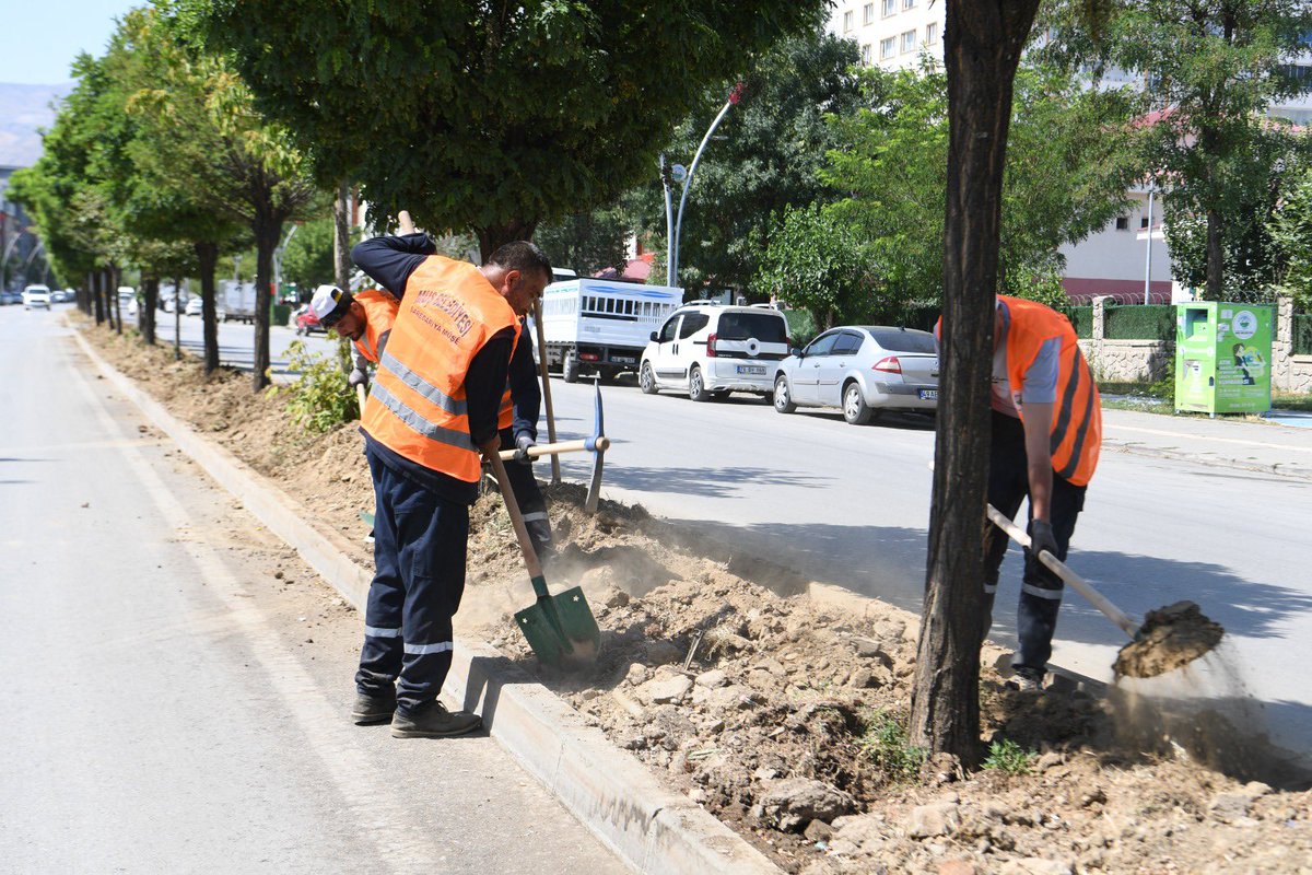 mus_bld's tweet image. 📌 Muş Belediyesi Park ve Bahçeler Müdürlüğü ekiplerimiz, refüjlerde yeşillendirme çalışmaları kapsamında verimsiz olan toprağı havalandırarak, fazla toprağı alıyor. Yapılan bakımın ardından refüjler yeniden yeşillendirilerek daha sağlıklı ve estetik bir görünüme kavuşturulacak.