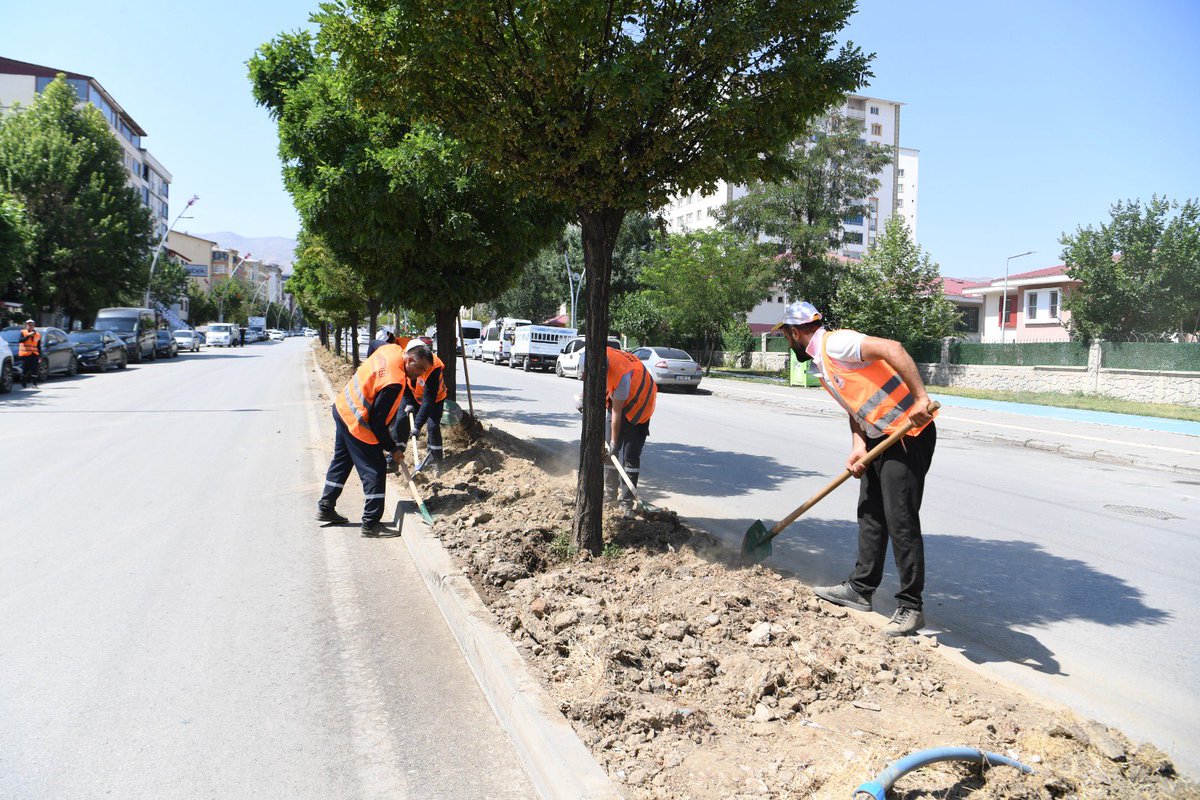 mus_bld's tweet image. 📌 Muş Belediyesi Park ve Bahçeler Müdürlüğü ekiplerimiz, refüjlerde yeşillendirme çalışmaları kapsamında verimsiz olan toprağı havalandırarak, fazla toprağı alıyor. Yapılan bakımın ardından refüjler yeniden yeşillendirilerek daha sağlıklı ve estetik bir görünüme kavuşturulacak.