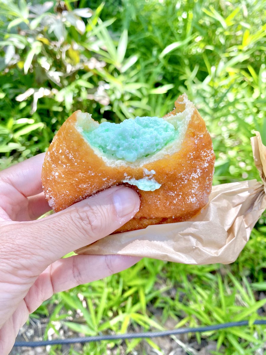 ベーカリーナカジマ(東京・三河島)。 チョコミントドーナツ 360円