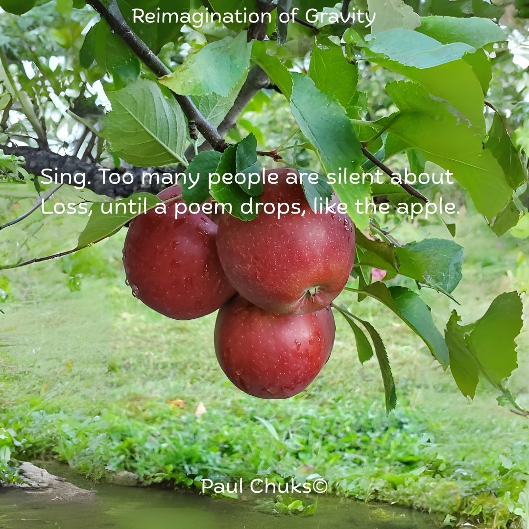 InkSweatTears's tweet image. n Reimagination of Gravity, Chuks' speaker weaves a poem that journeys between: loss, the discovery of gravity, and poetry itself, among other things. Don't be afraid; take a bite.
Read it here: inksweatandtears.co.uk/paul-chuks/
#InkSweatandTears #Poetry #Submission