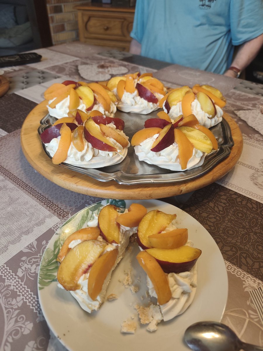 nittronic's tweet image. Pavlovas d&apos;été.
*Nectarines, abricots, crème vanille.

Par moi-même et pour tout le monde ! Miam-miam.😋😋😋