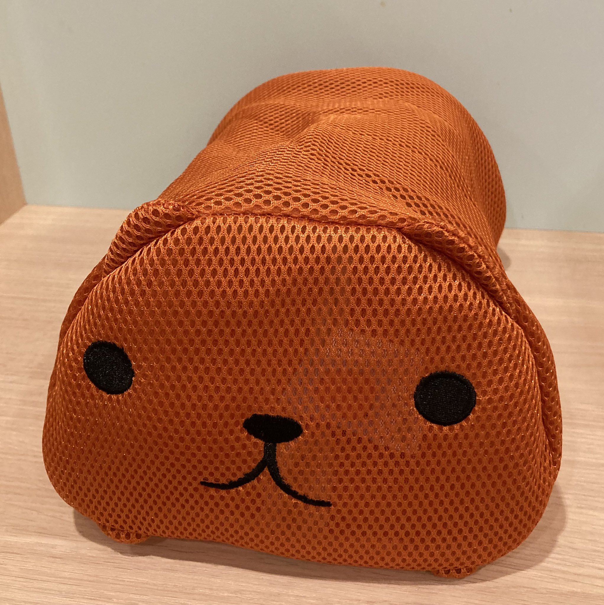 ⭐️カピバラさん⭐️ページ カピバラさん 公式サイト