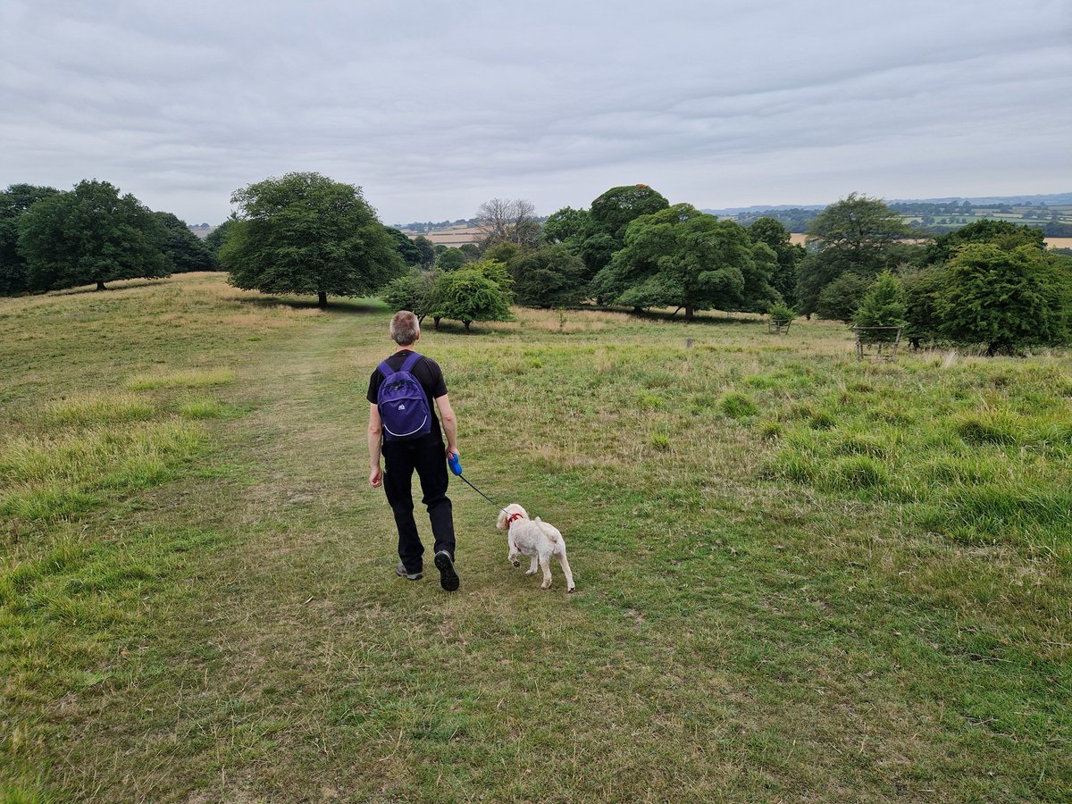 John_Dabell's tweet image. Consistently refuse to give in - your future self is counting on your persistence. And so is your dog!