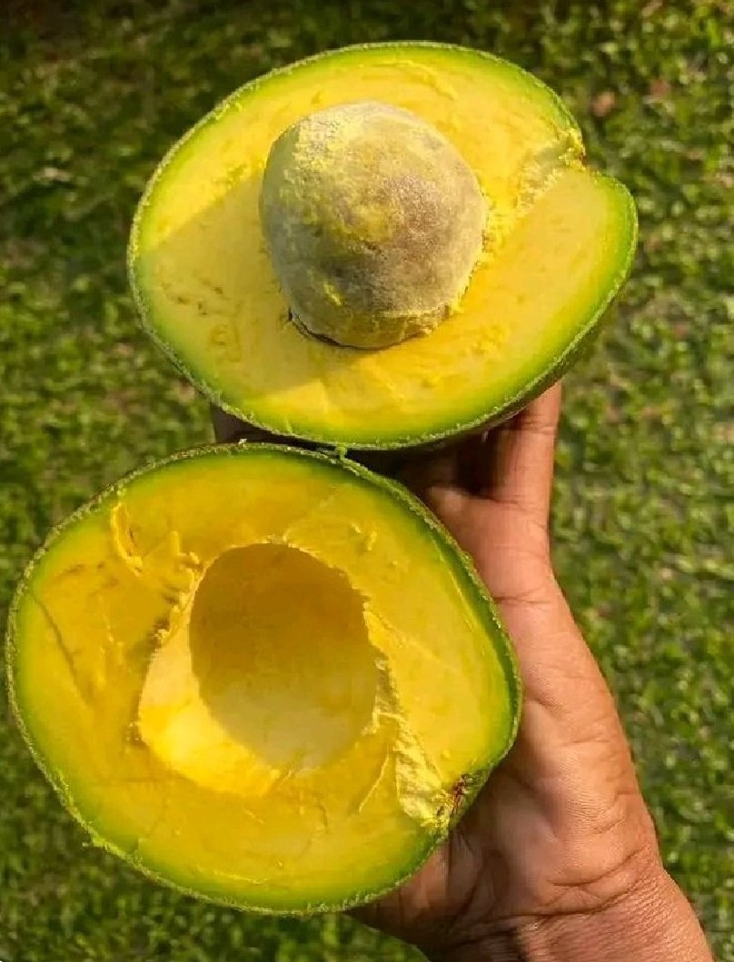 God gives us fruits as food. 

Use fruits everyday for healthy benefits.