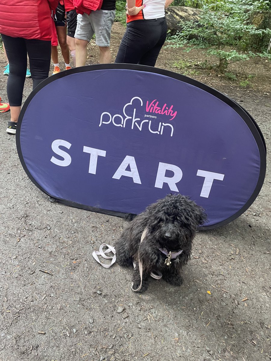 Lola volunteering for the very busy ⁦<a href="/hillsforestpr/">Hillsborough Forest parkrun</a>⁩