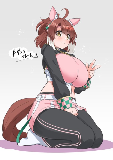 ダンツフレーム 