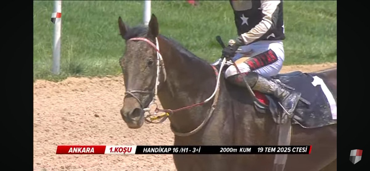 Babasının oğlu. 🥇
Super Saver / Super Day